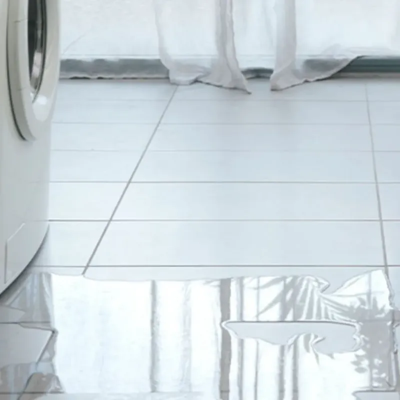 Appliance Leak Cleanup in Caldwell, KS