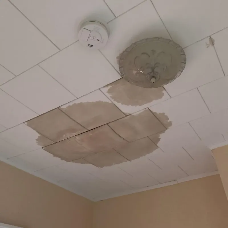 Ceiling Water Damage Repair in Caldwell, KS