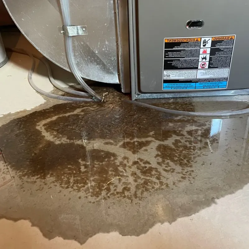 Pipe Burst and Leak Restoration in Caldwell, KS