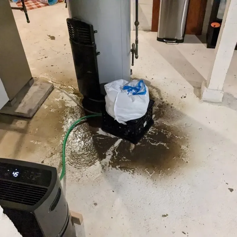 Sewage Backup Cleanup Service in Caldwell, KS
